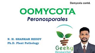 Lec 21 Oomycota  Peronosporales  Mycology  Plant Pathology  BScMSc Agriculture [upl. by Golliner996]