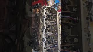 60 powerstroke build diesel powerstroke automotive ford [upl. by Barri468]