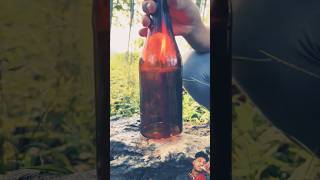 How to keep candles from being blown out by the wind  camping survival outdoor candles [upl. by Eeladnerb658]