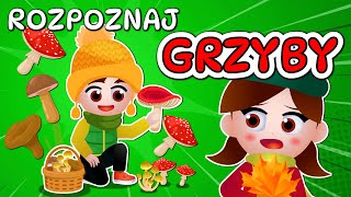 🍄 Kazio i TEST GRZYBIARZA  Grzybobranie dla dzieci  Rozpoznawanie grzybów 🍄 [upl. by Latsirk105]