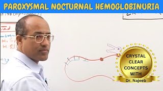 Paroxysmal Nocturnal Hemoglobinuria  Pathophysiology🩺 [upl. by Artsa]