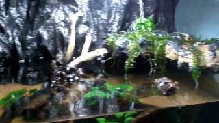 Another Paludarium W I P [upl. by Eamaj]