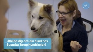 Svenska Terapihundskolan [upl. by Badr]