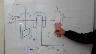 QUÍMICA—ELECTRODO ESTÁNDAR DE HIDRÓGENO [upl. by Jarrow]