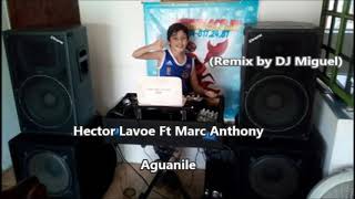 Hector Lavoe Ft Marc Anthony  Aguanile Remix By DJ MiGuel [upl. by Furiya]