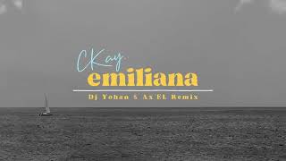 CKay  emiliana DJ Yohan amp AxEL Remix Official Lyric Video [upl. by Enna]