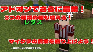 Minecraftマイクラで3つの新しい種を植えた！ [upl. by Smoht]