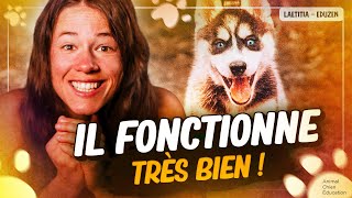 Le premier exercice à apprendre à ton chien   Laetitia Gonnon  Eduzen [upl. by Charlton127]