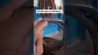 CAVALO QUE SE ALCANÇA OU PISA O PÉ NAS MÃOS  VÍDEO 1 amocavalos doma expominas vidanocampo [upl. by Downey710]