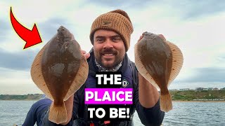 The BEST Plaice Fishing Ive EVER HAD [upl. by Odarnoc]