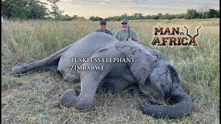 Man vs Africa Tuskless Elephant Zimbabwe [upl. by Lamhaj]