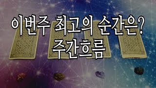 타로주간 이번주 신나는 소식  639 [upl. by Yuri]