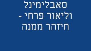 סאבלימינל וליאור פרחי  תיזהר ממנה [upl. by Jesselyn]