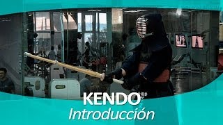 KENDO 1 Introducción [upl. by Annaeel789]