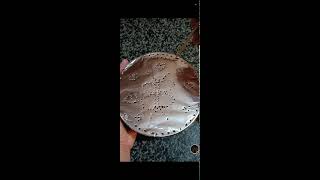 shamzavino Vlogs is live ODD ASMR  VERY SATISFYING FANTASTIC FOIL ASMR SOUND asmr trending foil [upl. by Mena976]