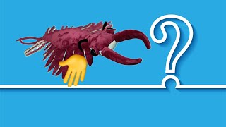 What is Anomalocaris [upl. by Laon]