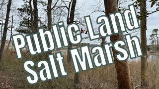 Public Land Salt Marsh [upl. by Ace961]