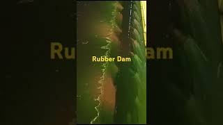 Rubber Dam in gayashortvideo 👍 [upl. by Hteb552]