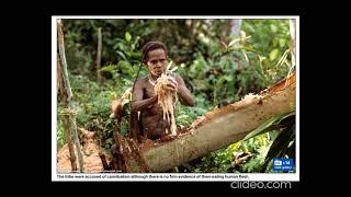 Cannibalism In The Korowai Tribe cannibalism korowai tribe history [upl. by Reppep]