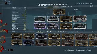 Warframe hirudo build with test [upl. by Tnelc]