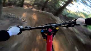 Kasina Bike Park  Dzika z przygodami w 4K [upl. by Jori]