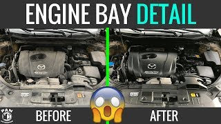 HOW TO CLEAN YOUR ENGINE BAY  EASY TUTORIAL [upl. by Ilsa951]