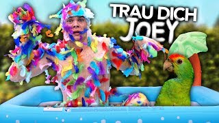 ICH WERDE EIN PAPAGEI  Trau Dich Joey  Joeys Jungle [upl. by Maite765]