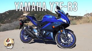 YAMAHA YZFR3  First Ride and Honest Review [upl. by Yelena]