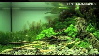 Aquascaping  The Art of the Planted Aquarium 2012 part 3 [upl. by Leonor]