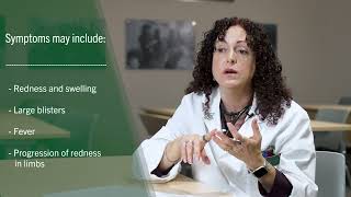 USF Health Minute with Dr Sandra Gompf Vibrio Vulnificus or quotflesheating bacteriaquot [upl. by Yenruoc]