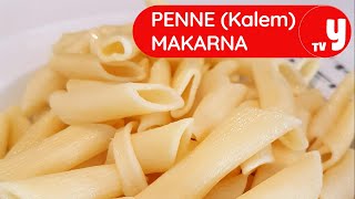 Penne Kalem Makarna Tarifi Nasıl Yapılır [upl. by Enilarak]