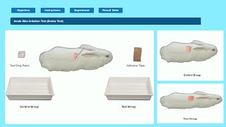 Acute Skin Irritation Test Draize Test By ExPharm Software  Skin Irritation by Expharm Software [upl. by Birchard565]