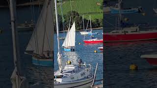 race down penryn river [upl. by Filippa]