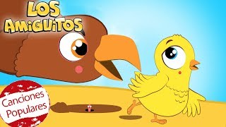 El pollito Amarillito y muchas máss Cancion Infantil  Los Amiguitos [upl. by Akyre]