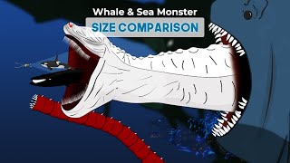 Whale Fish and Sea Monster Size Comparison [upl. by Ignacia]