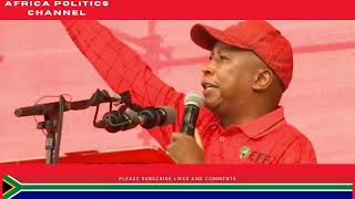 Julias Malema You Blame Foreigners For Your Problems Because You Are Scared of White People [upl. by Razaile]