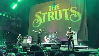 The Struts  Primadonna Like Me Live  Budweiser Gardens 2024 [upl. by Jacoba]