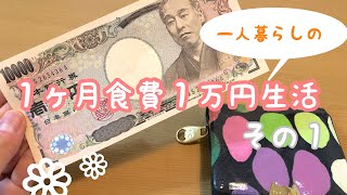 １ヶ月食費１万円生活一人暮らしの食費節約／一口コンロ [upl. by Fosdick]