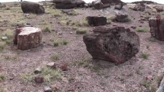 Petrified Forest National Park Arizona [upl. by Olly644]