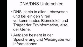 DNA  DNS Unterschied [upl. by Ahsienar]