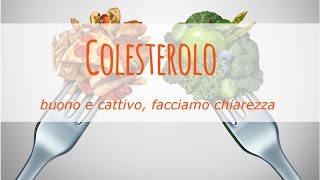 Colesterolo buono HDL colesterolo cattivo LDL facciamo chiarezza [upl. by Naed930]