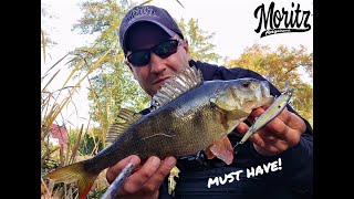 Megabass Vision 110  muss mit [upl. by Ynaffik]