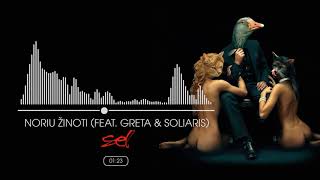 SEL  Noriu Žinoti Feat Greta amp SoliarisOfficial Audio [upl. by Nosa]