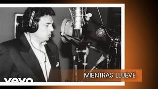 José José  Mientras Llueve Cover Audio [upl. by Graces]