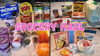 WALMART amp HEB GROCERY HAUL  DG HAUL [upl. by Nivrae]