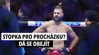 Dvořák k budoucnosti Procházky i českému turnaji UFC To nehrozí Nesmí se podělat [upl. by Addiego960]