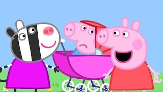 Peppa Pig Português Brasil  O Porquinho Bebê  HD  Desenhos Animados [upl. by Breskin]