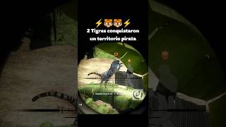 ¡Conquista felina farcry3 [upl. by Hairahcaz]