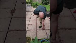 Repointing Paving Slabs  Satisfying Patio Renovation diy gardening [upl. by Tekcirk]