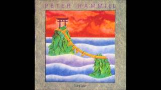 Peter Hammill  A Way Out [upl. by Dohsar]